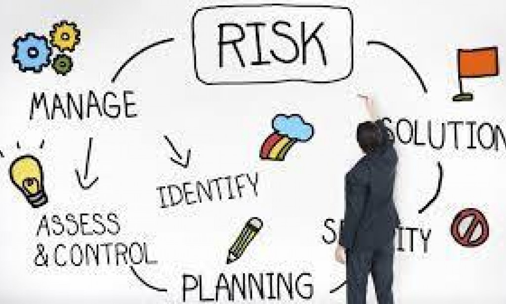 Risk Management Guide - by dot