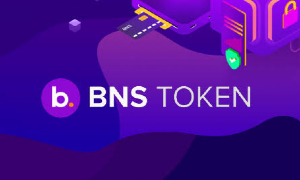 The BNS Token can change your life sad life!
