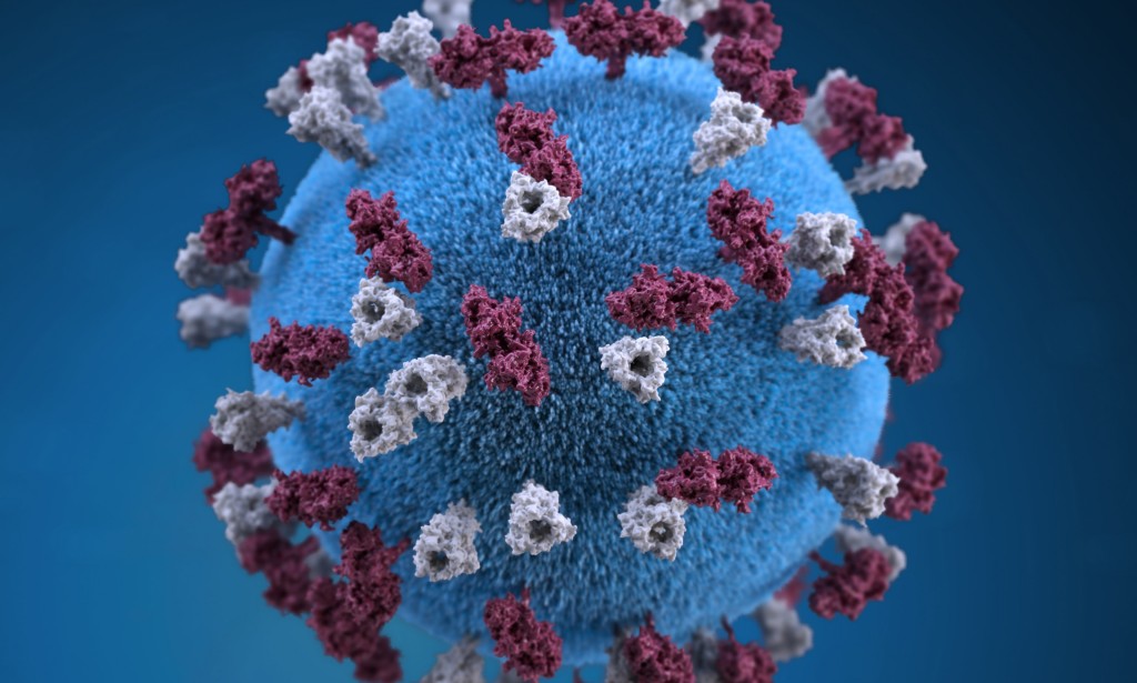 Mysterious brain illness reported in 48 people in Canada,