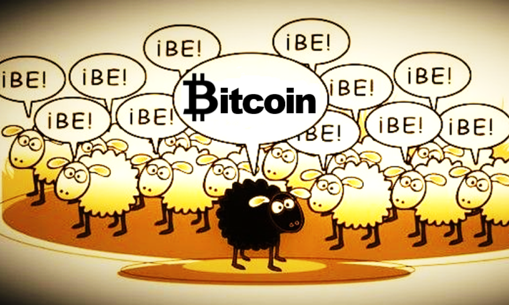 Cryptocurrencies, the Black Sheep. Congressmen concerned about the tax compliance of cryptocurrencies.